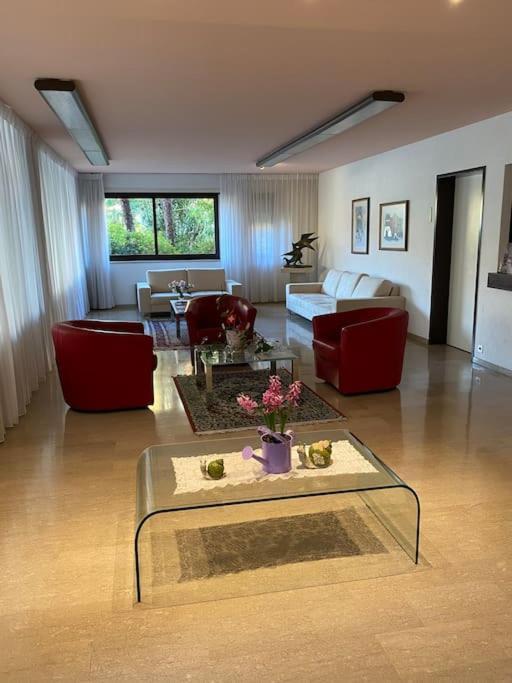 Ascona: Residenza Sabrina,App 2.5 Locali E Piscina Apartman Kültér fotó